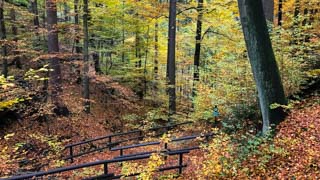 Discesa alla gola Kamenice, Parco della Svizzera Boema, Repubblica Ceca