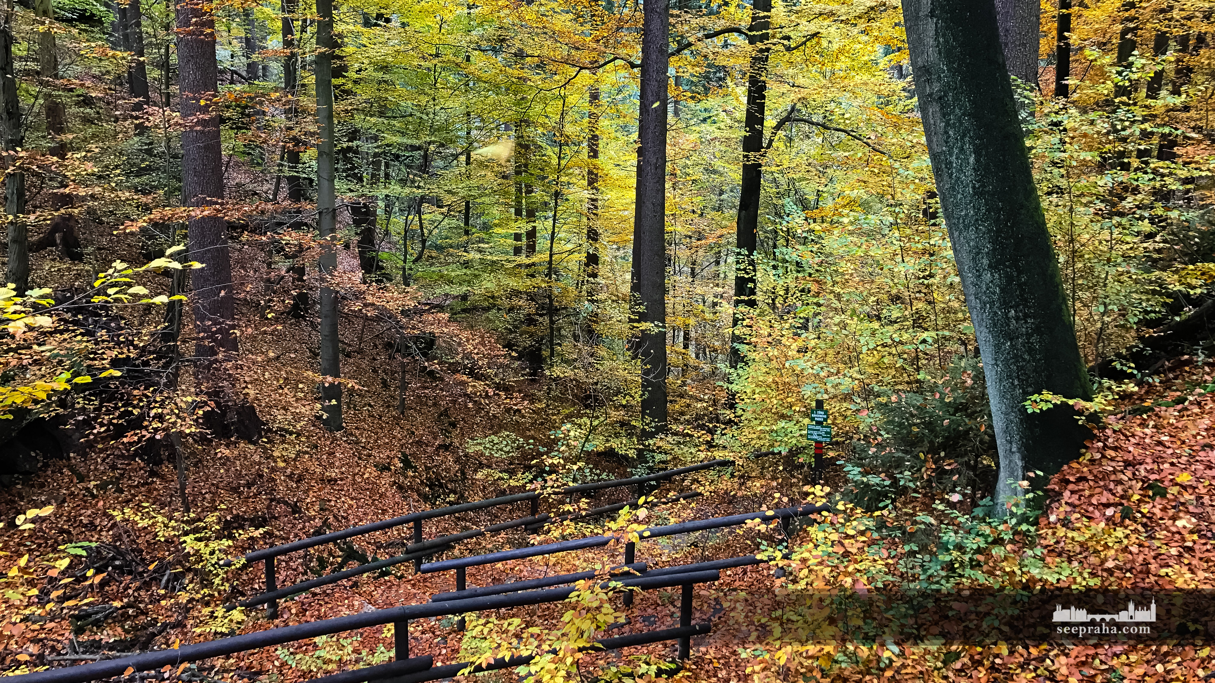Coborâș spre defileul Kamenița, Parcul Elveția Cehă, Cehia