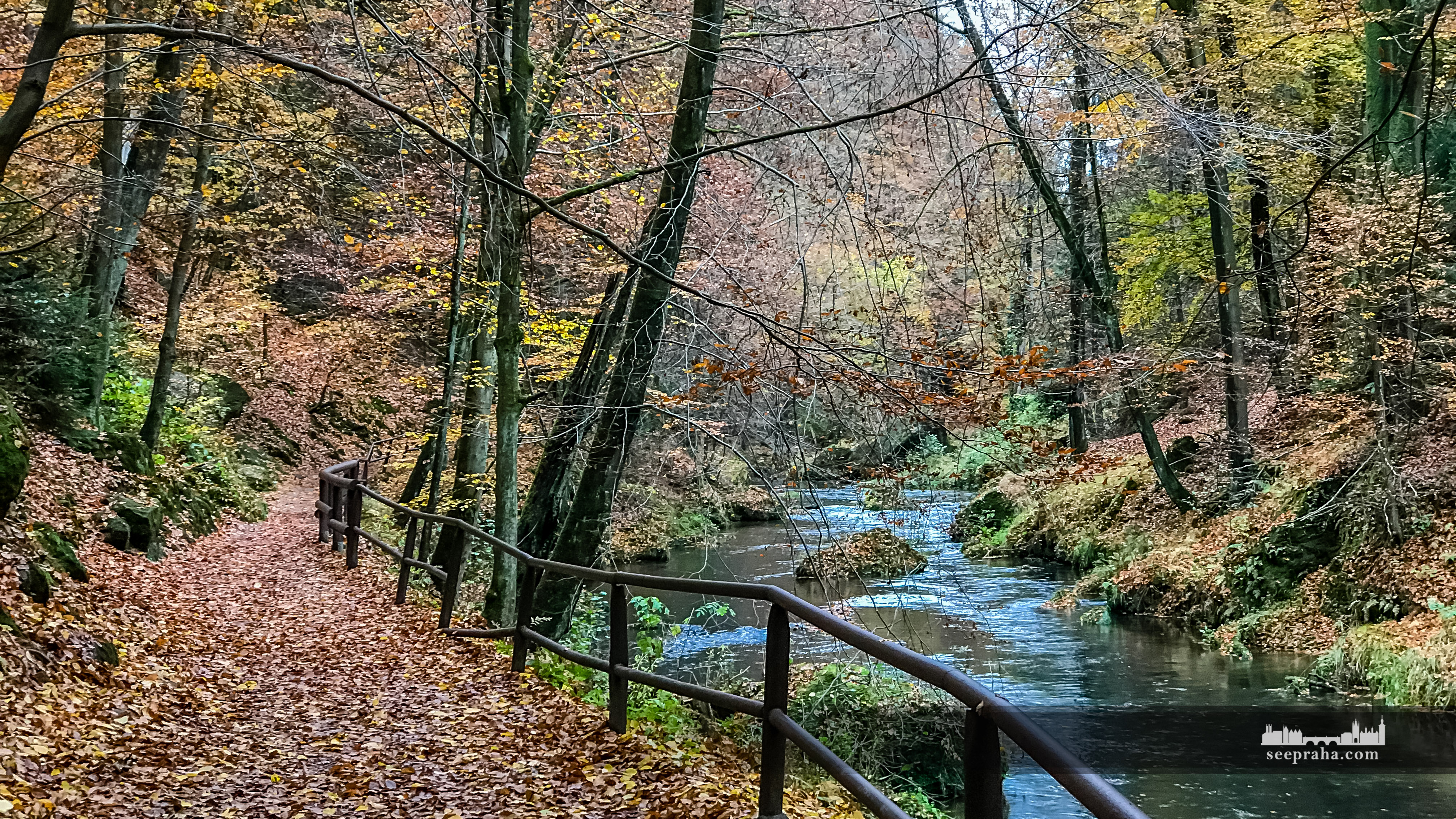 Wąwóz Edmunda i rzeka Kamienica, Park Narodowy Czeska Szwajcaria, Czechy