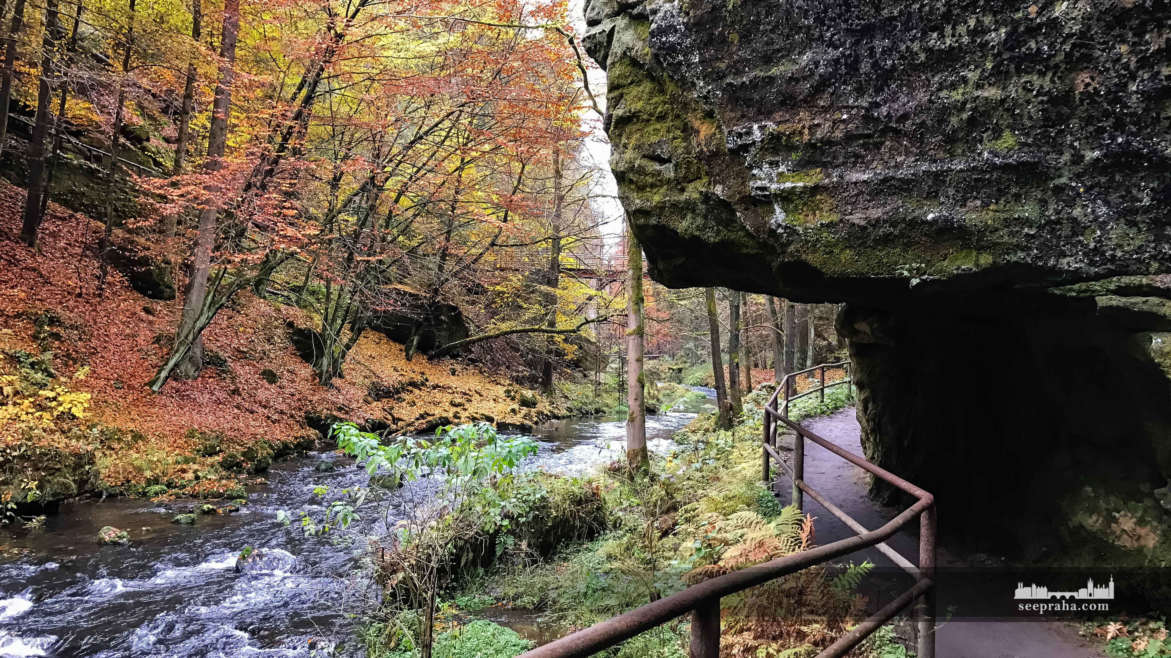 Ущелье Эдмунда и река Каменица, Парк Чешская Швейцария, Чехия