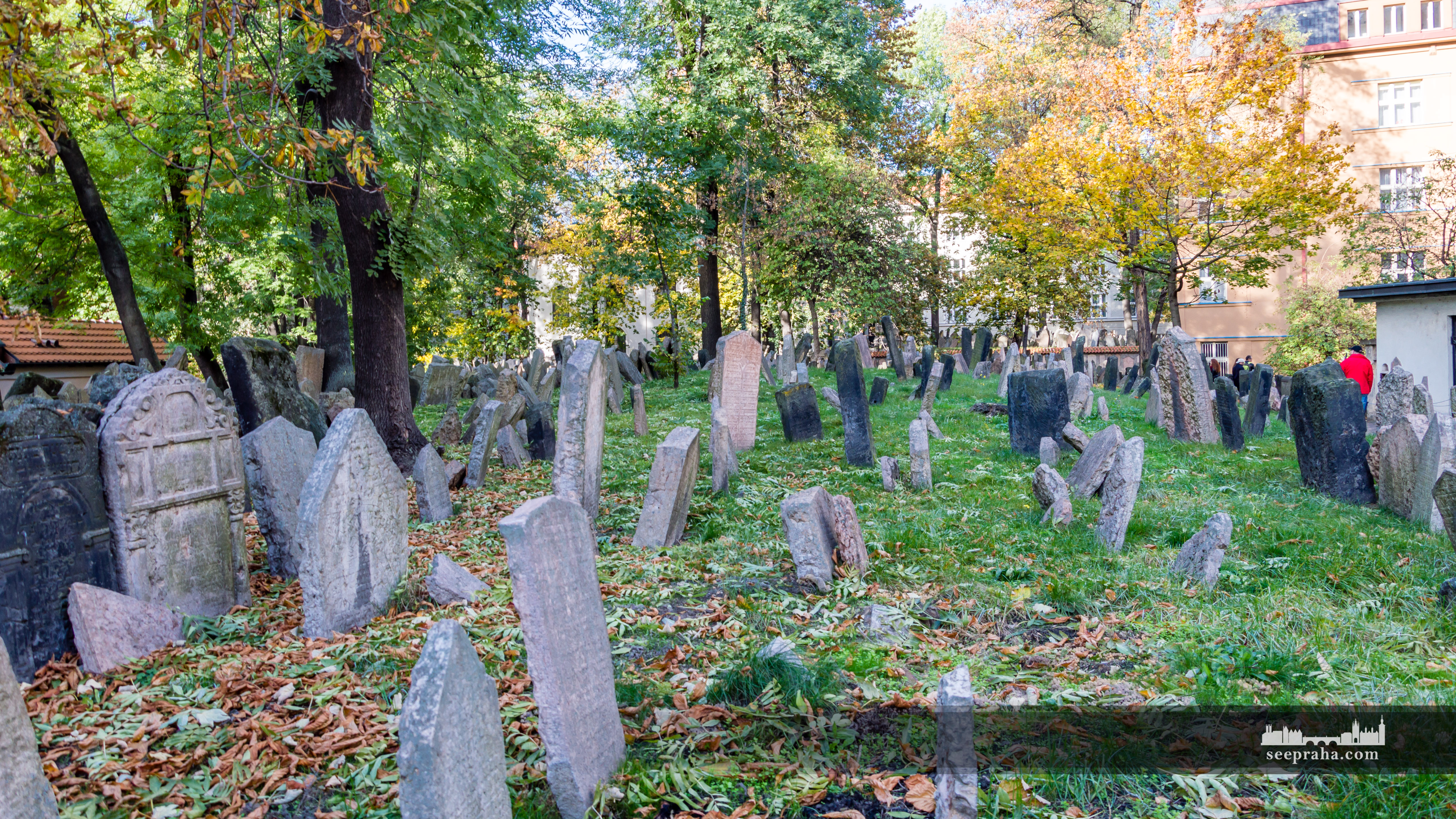 Vechiul cimitir evreiesc, Praga, Cehia